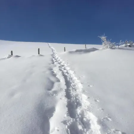 Im Toggi Mit Blick Auf Berge Wattwil