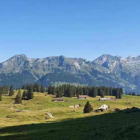 Im Toggi Mit Blick Auf Berge * Wattwil