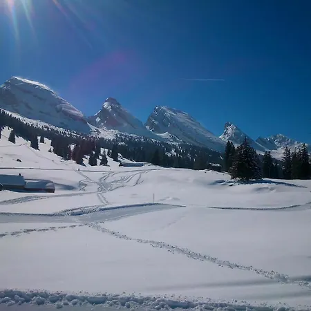 Im Toggi Mit Blick Auf Berge